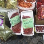 BEYPAZARI ÇARŞISI 4