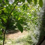 İNÖZÜ VADİSİ 04