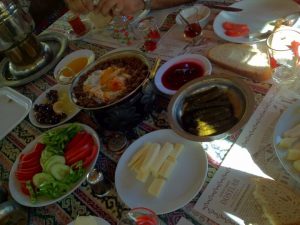 İNÖZÜ VADİSİ 05